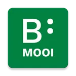 Oogverblindend Mooi icon
