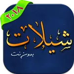 شيلات سعوديه بدون نت icon