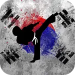 Hapkido Training - Videos icon