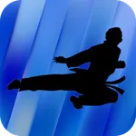 Taekwondo Training - Videos icon