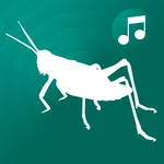 ringtones crickets for phone icon