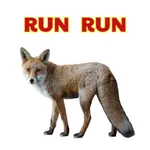 Run Run el Zorrito icon