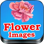 Flower Images icon