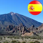 In Sight - The Canaries icon