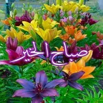 2026 GIFصور صباح ومساء الخير icon