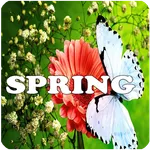 Springtime, Hello Spring icon