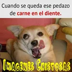 Imágenes Chistosas icon