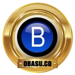 OBASU.CO icon
