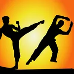 Learn Kung Fu icon