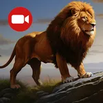 Animals Documentary Online icon