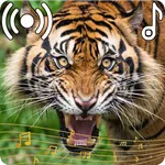 Tiger Sounds Ringtone icon