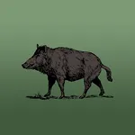 Wild Hog Sounds icon