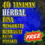 Tanaman Herbal Yang Bisa Mengo icon