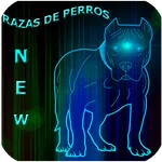 Imágenes de Perros-Razas icon