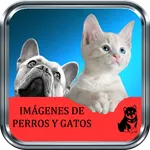 Imágenes de Perros y Gatos icon