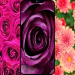 Flowers Wallpaper icon