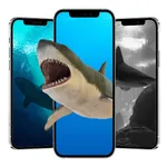 Shark wallpaper icon