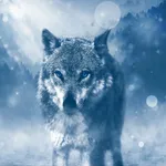 Wolf wallpaper icon