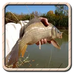 Summer fishing icon