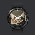 Cat Watch Face icon