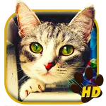 Cute Lovely Cat APUS Live Wall icon