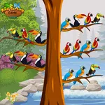 Birds Sort Color- Puzzle Games icon