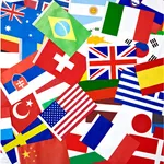 flags of the world countries icon