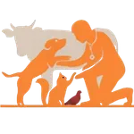 Always Care icon