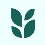 Tora Swalayan online Semarang icon