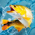 Fishing Legends icon