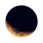 Organic Lunar Calendar icon