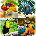 Parrots of Puzzles: Free Slidi icon