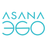 Asana Payment icon
