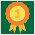 Top 10 Rules For Success icon