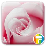 Rose ASUS ZenUI Theme icon