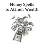 Attract money now icon