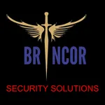 Brincor Panic App icon