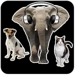 Animal Sounds icon