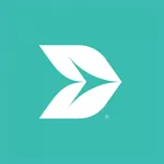 Spacars icon