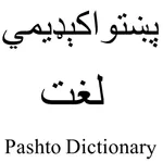 پښتو اکیډمی لغت icon