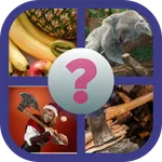 4 Pics 1 Word: brain teaser icon