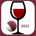 Simulador de Futbol 2022 icon