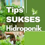 Tips Sukses Hidroponik icon