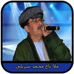 ملا تاج محمد سرپلی icon
