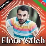 Elnur Valeh mahnilar icon