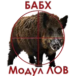Module Hunt icon