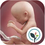 Pregnancy App & Baby Tracker icon