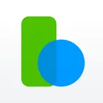 Balance Pro: Money Management icon