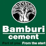 Bamburi driver icon