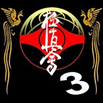 Kyokushin - Blocks icon